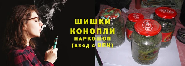 прущие крисы Горняк