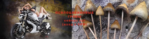 ALPHA-PVP Новозыбков
