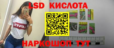 прущие грибы Гусев