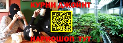 прущие грибы Гусев