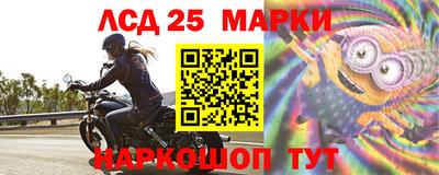 прущие грибы Гусев
