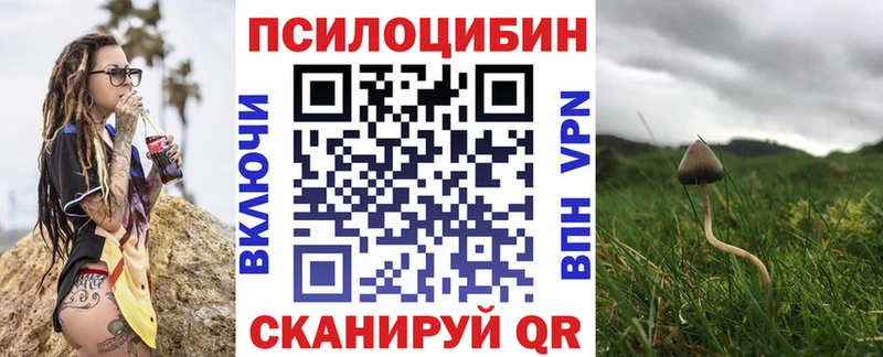 Псилоцибиновые грибы GOLDEN TEACHER  наркота  Кандалакша 