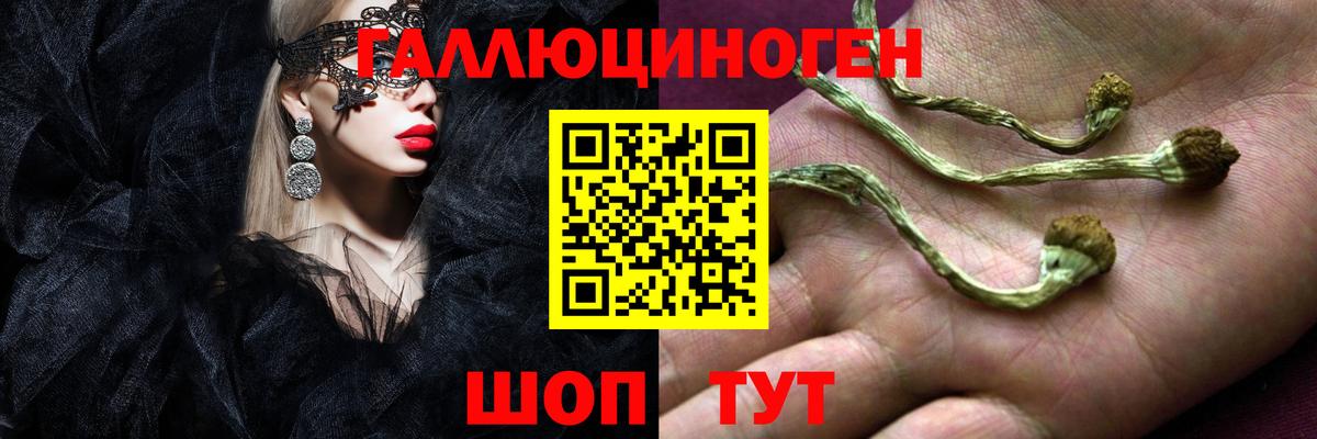 Галлюциногенные грибы MAGIC MUSHROOMS Кандалакша