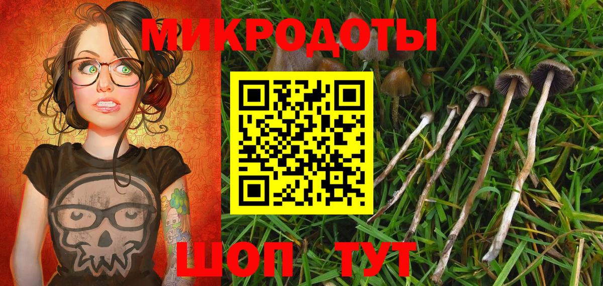 Галлюциногенные грибы GOLDEN TEACHER  закладка  Кандалакша  Вход с VPN 